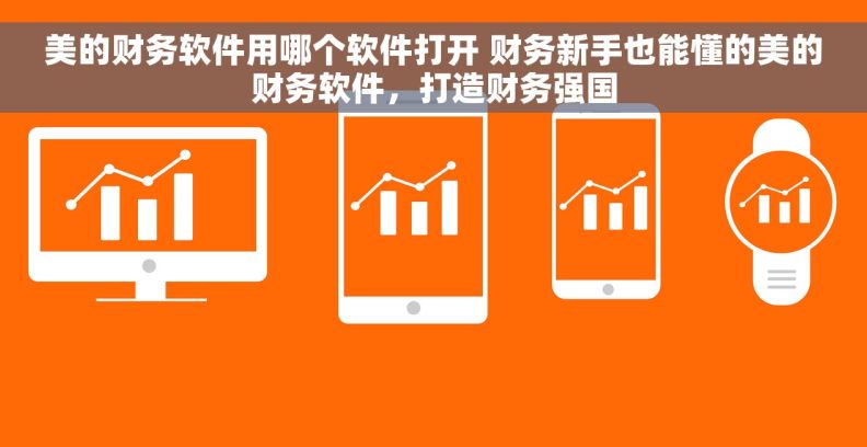 美的财务软件用哪个软件打开 财务新手也能懂的美的财务软件，打造财务强国