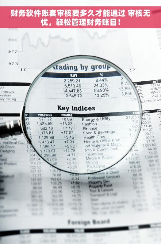 财务软件账套审核要多久才能通过 审核无忧，轻松管理财务账目！