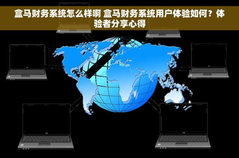 盒马财务系统怎么样啊 盒马财务系统用户体验如何？体验者分享心得