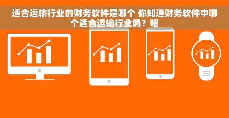 适合运输行业的财务软件是哪个 你知道财务软件中哪个适合运输行业吗？喂