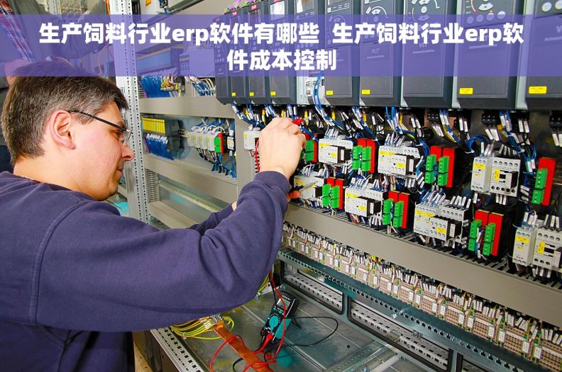 生产饲料行业erp软件有哪些  生产饲料行业erp软件成本控制