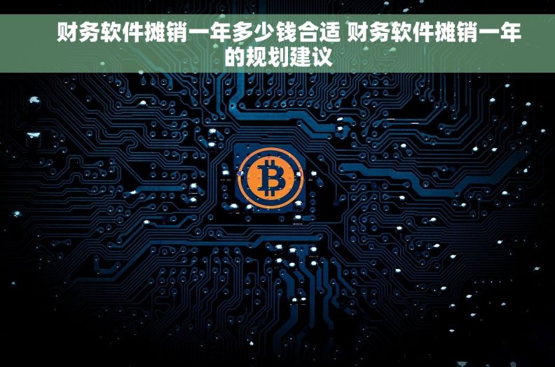     财务软件摊销一年多少钱合适 财务软件摊销一年的规划建议