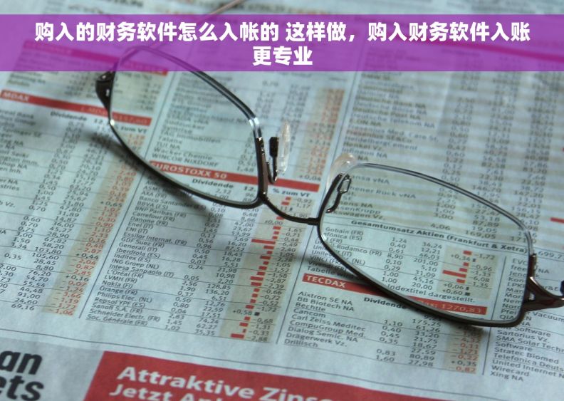 购入的财务软件怎么入帐的 这样做，购入财务软件入账更专业