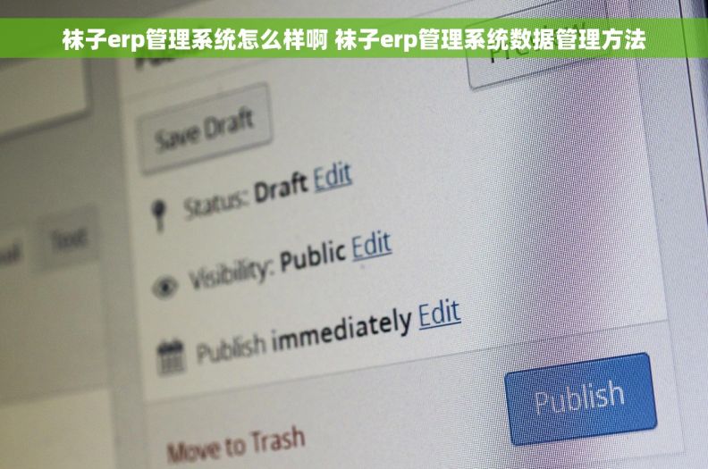 袜子erp管理系统怎么样啊 袜子erp管理系统数据管理方法