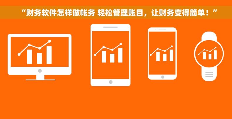 “财务软件怎样做帐务 轻松管理账目，让财务变得简单！”