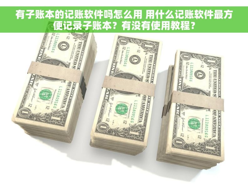 有子账本的记账软件吗怎么用 用什么记账软件最方便记录子账本？有没有使用教程？