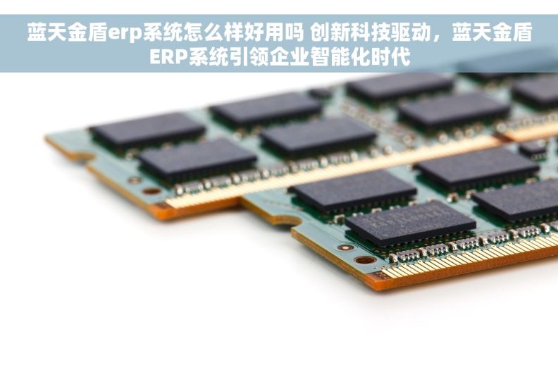 蓝天金盾erp系统怎么样好用吗 创新科技驱动，蓝天金盾ERP系统引领企业智能化时代