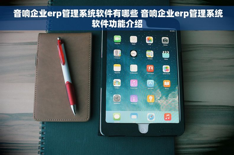  音响企业erp管理系统软件有哪些 音响企业erp管理系统软件功能介绍