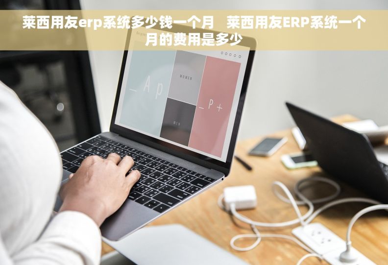 莱西用友erp系统多少钱一个月   莱西用友ERP系统一个月的费用是多少