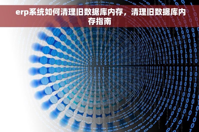  erp系统如何清理旧数据库内存，清理旧数据库内存指南