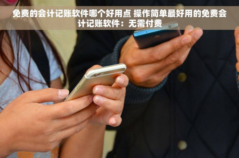 免费的会计记账软件哪个好用点 操作简单最好用的免费会计记账软件：无需付费
