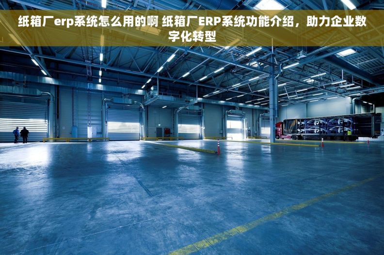 纸箱厂erp系统怎么用的啊 纸箱厂ERP系统功能介绍，助力企业数字化转型