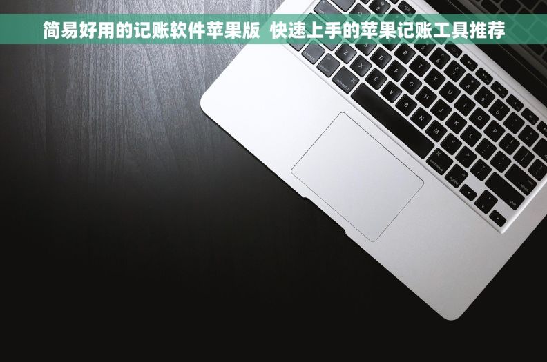 简易好用的记账软件苹果版  快速上手的苹果记账工具推荐