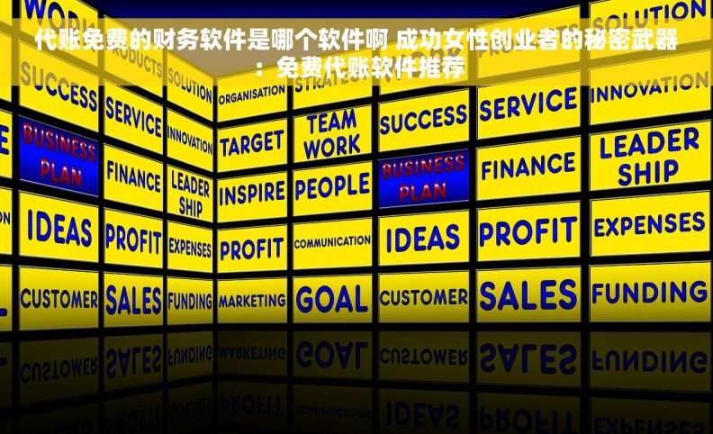 代账免费的财务软件是哪个软件啊 成功女性创业者的秘密武器：免费代账软件推荐