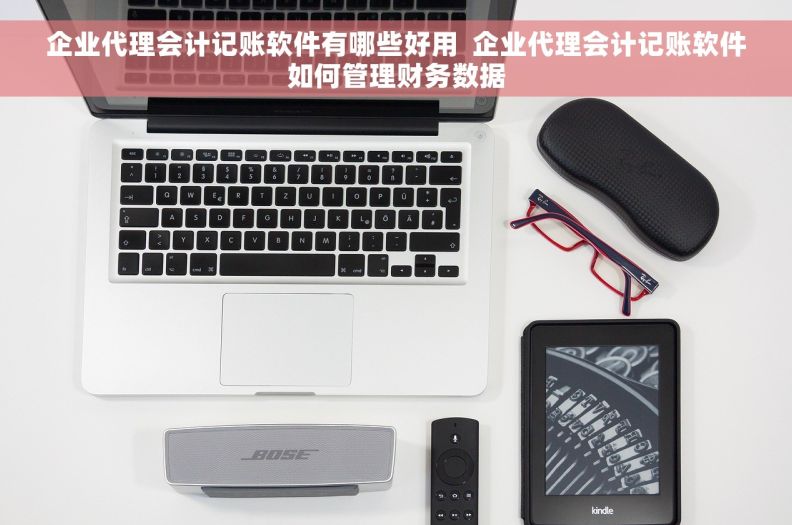 企业代理会计记账软件有哪些好用  企业代理会计记账软件如何管理财务数据