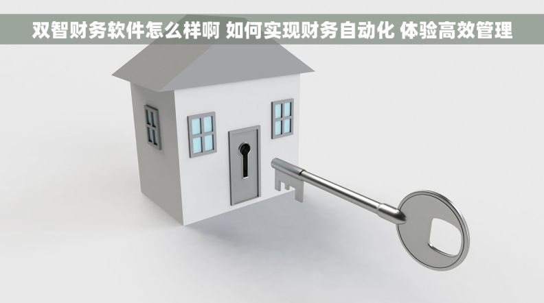 双智财务软件怎么样啊 如何实现财务自动化 体验高效管理