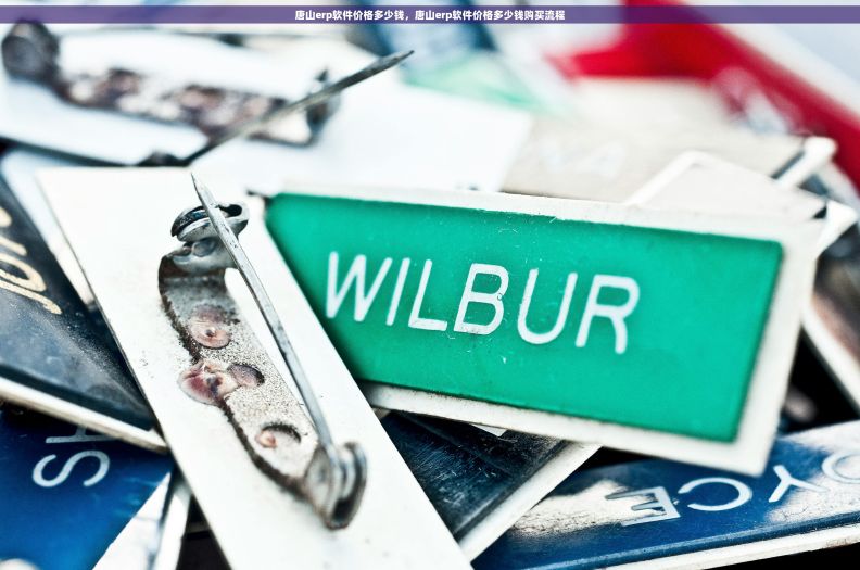 唐山erp软件价格多少钱，唐山erp软件价格多少钱购买流程