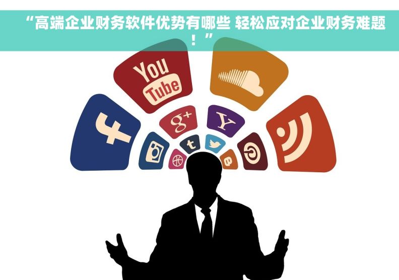 “高端企业财务软件优势有哪些 轻松应对企业财务难题！”