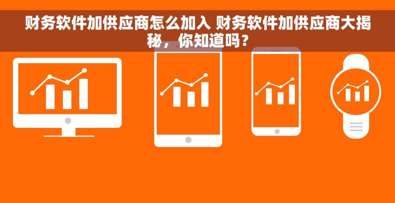 财务软件加供应商怎么加入 财务软件加供应商大揭秘，你知道吗？