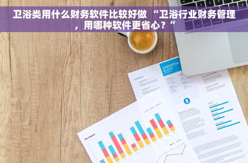 卫浴类用什么财务软件比较好做 “卫浴行业财务管理，用哪种软件更省心？”