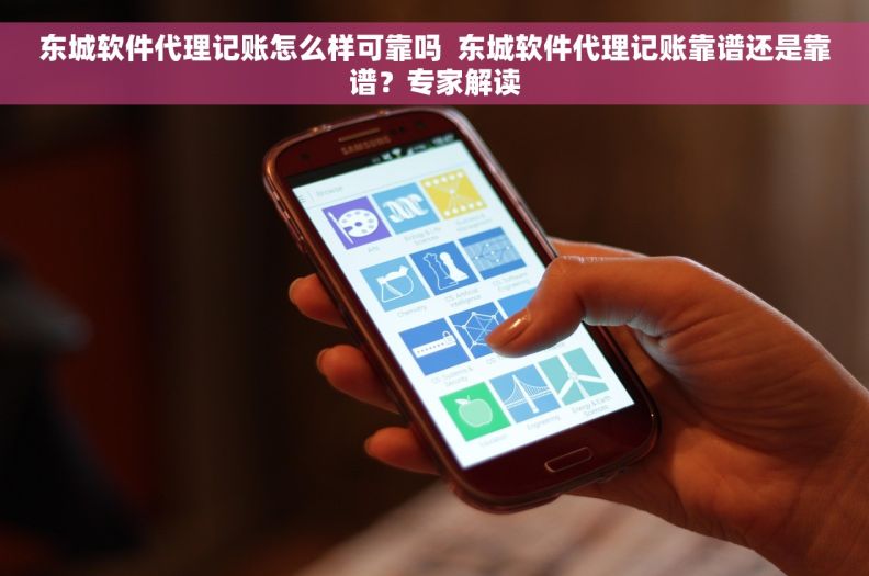 东城软件代理记账怎么样可靠吗  东城软件代理记账靠谱还是靠谱？专家解读