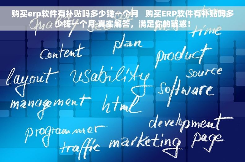 购买erp软件有补贴吗多少钱一个月   购买ERP软件有补贴吗多少钱一个月 真实解答，满足你的疑惑！