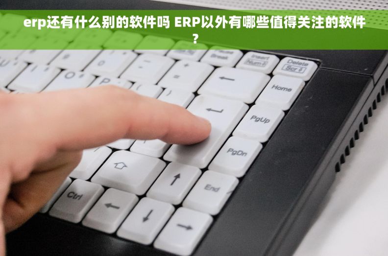 erp还有什么别的软件吗 ERP以外有哪些值得关注的软件？