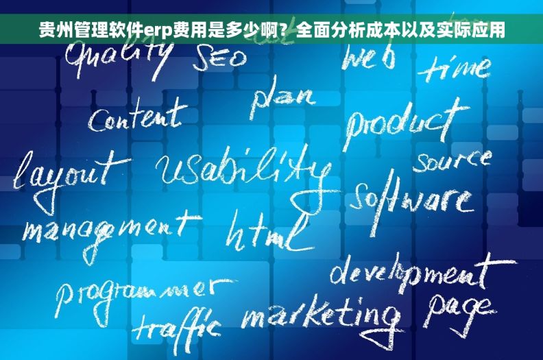 贵州管理软件erp费用是多少啊？全面分析成本以及实际应用