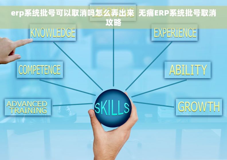 erp系统批号可以取消吗怎么弄出来  无痛ERP系统批号取消攻略
