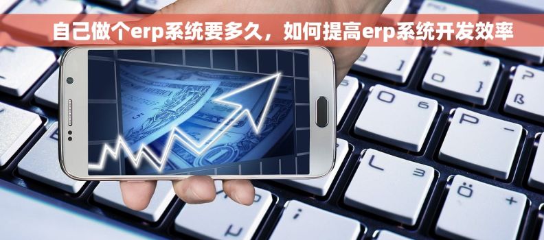    自己做个erp系统要多久，如何提高erp系统开发效率