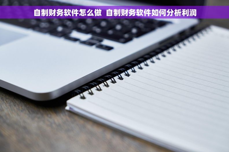 自制财务软件怎么做  自制财务软件如何分析利润