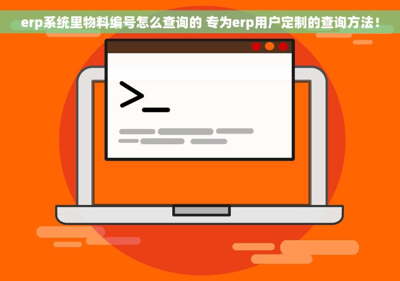 erp系统里物料编号怎么查询的 专为erp用户定制的查询方法！