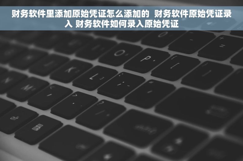 财务软件里添加原始凭证怎么添加的  财务软件原始凭证录入 财务软件如何录入原始凭证