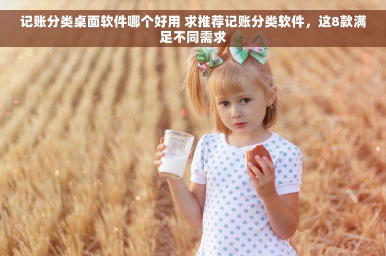 记账分类桌面软件哪个好用 求推荐记账分类软件，这8款满足不同需求