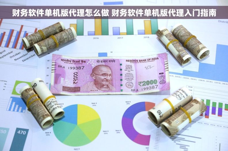 财务软件单机版代理怎么做 财务软件单机版代理入门指南