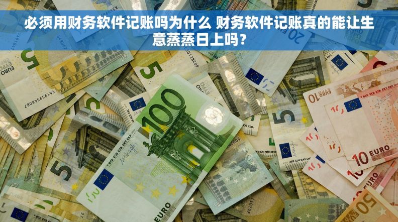 必须用财务软件记账吗为什么 财务软件记账真的能让生意蒸蒸日上吗？