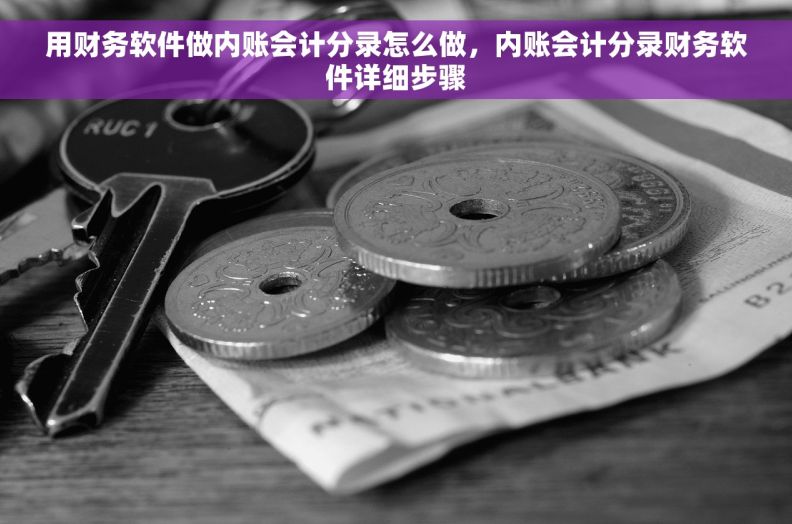 用财务软件做内账会计分录怎么做,内账会计分录财务软件详细步骤 用财务软件做内账会计分录怎么做,内账会计分录财务软件详细步骤