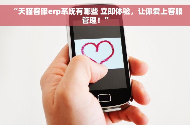“天猫客服erp系统有哪些 立即体验，让你爱上客服管理！”
