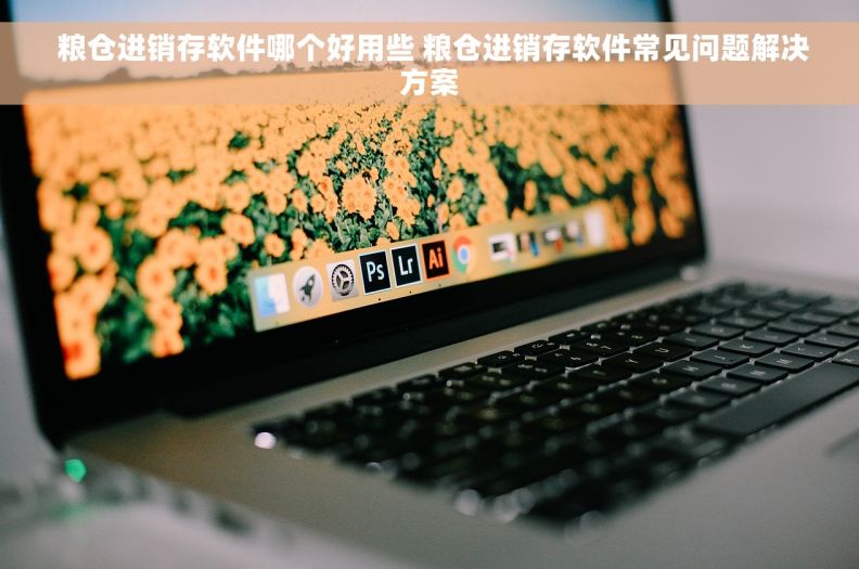  粮仓进销存软件哪个好用些 粮仓进销存软件常见问题解决方案