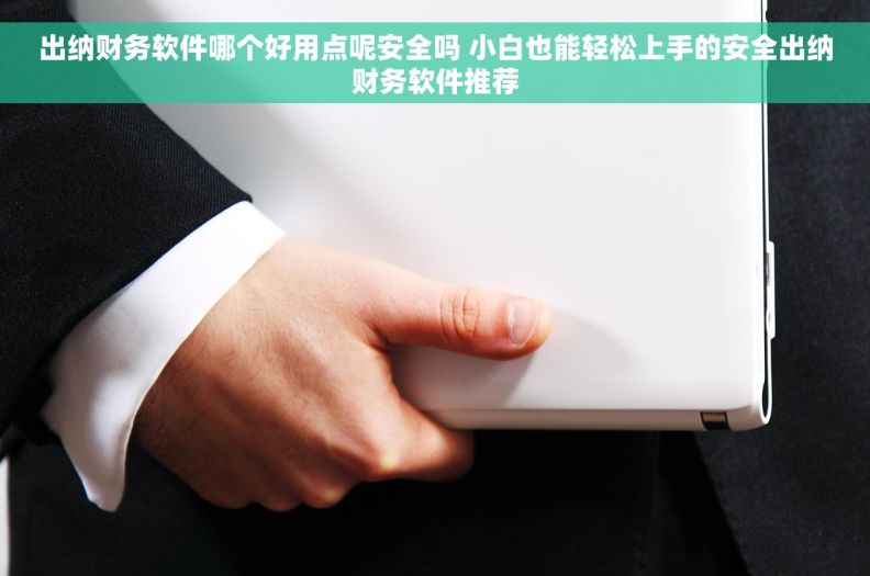 出纳财务软件哪个好用点呢安全吗 小白也能轻松上手的安全出纳财务软件推荐