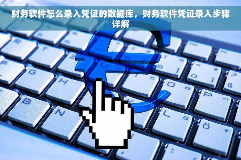 财务软件怎么录入凭证的数据库，财务软件凭证录入步骤详解