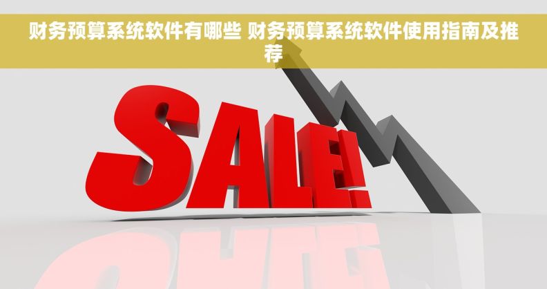 财务预算系统软件有哪些 财务预算系统软件使用指南及推荐