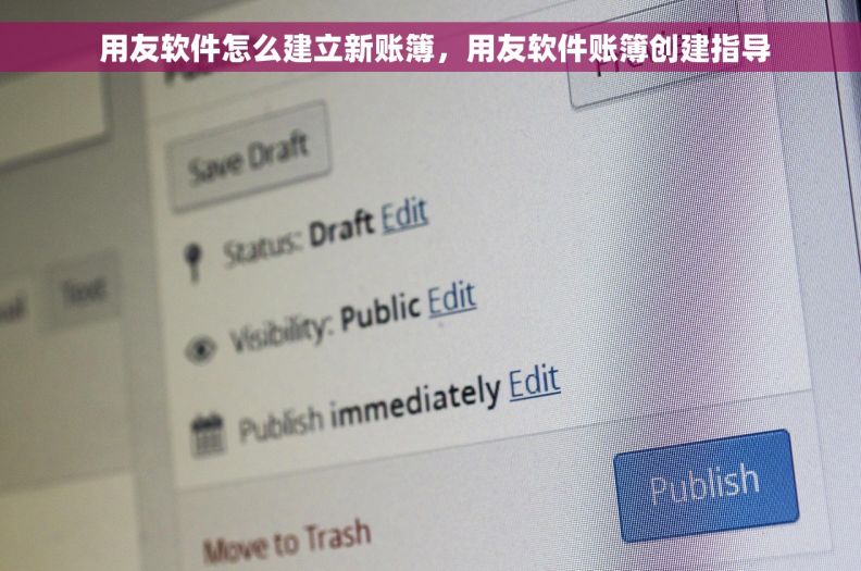  用友软件怎么建立新账簿，用友软件账簿创建指导