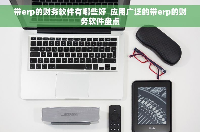 带erp的财务软件有哪些好  应用广泛的带erp的财务软件盘点