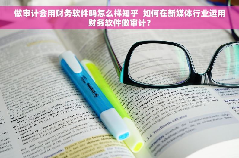 做审计会用财务软件吗怎么样知乎  如何在新媒体行业运用财务软件做审计？