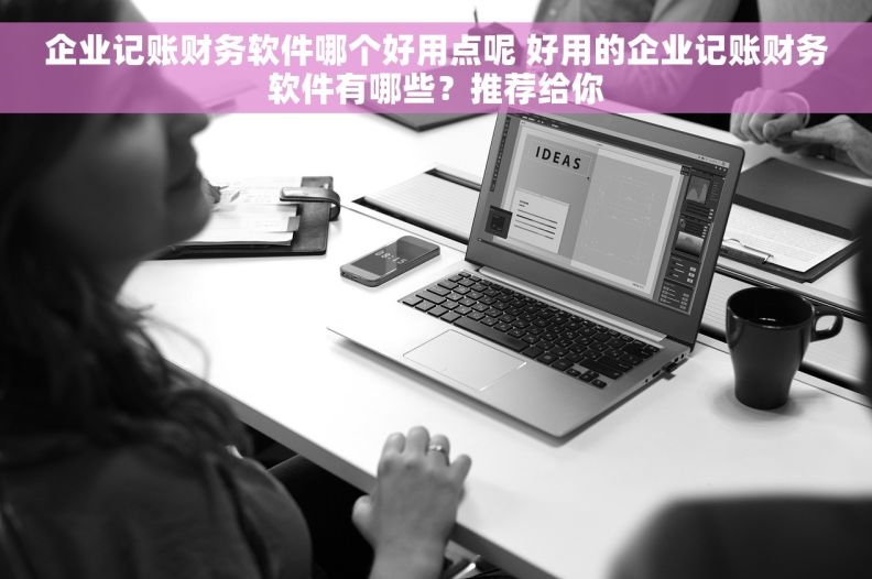 企业记账财务软件哪个好用点呢 好用的企业记账财务软件有哪些？推荐给你