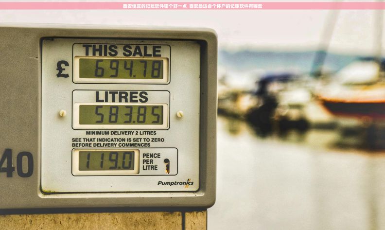 西安便宜的记账软件哪个好一点  西安最适合个体户的记账软件有哪些