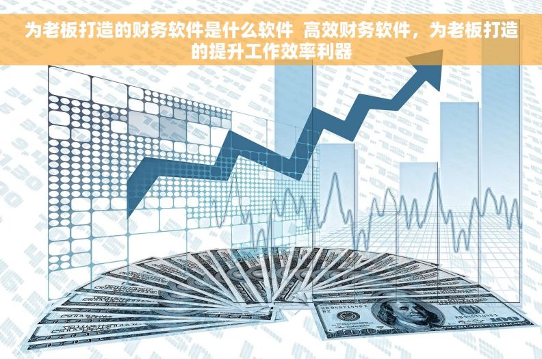 为老板打造的财务软件是什么软件  高效财务软件，为老板打造的提升工作效率利器