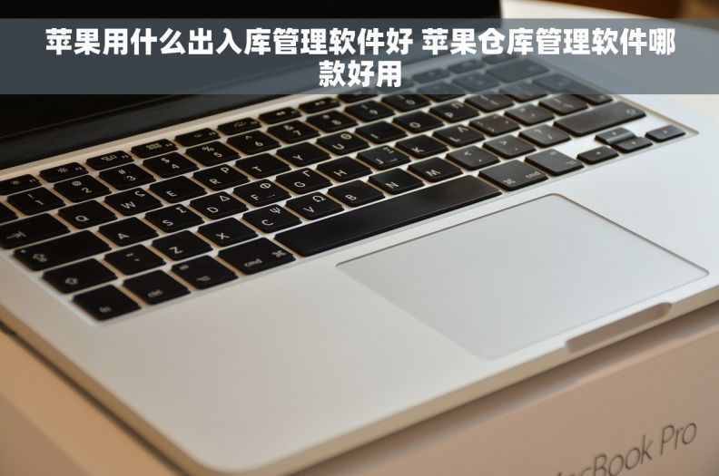 苹果用什么出入库管理软件好 苹果仓库管理软件哪款好用
