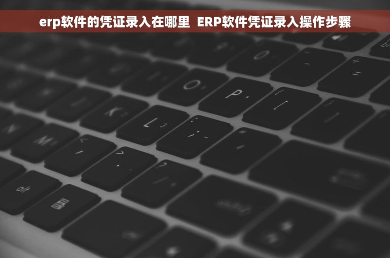 erp软件的凭证录入在哪里  ERP软件凭证录入操作步骤